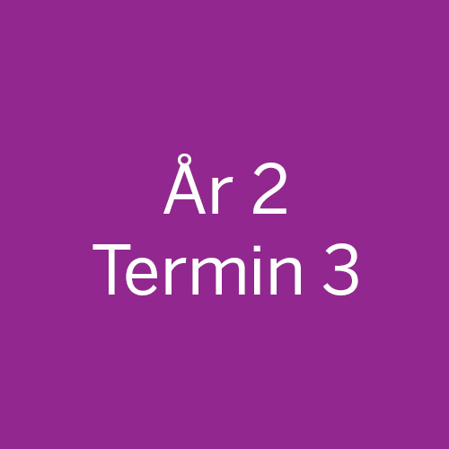 År2-Termin3