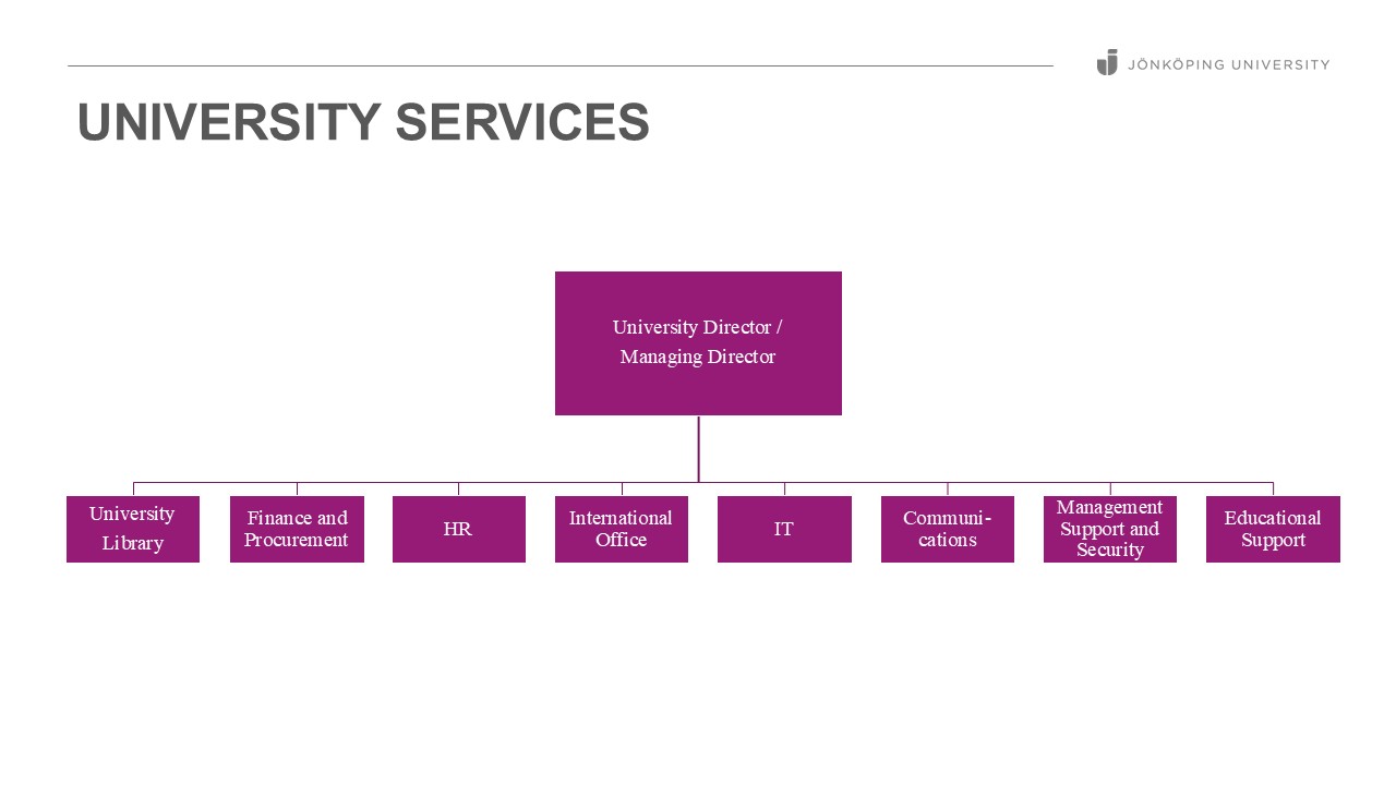 Organisational sketch for university services